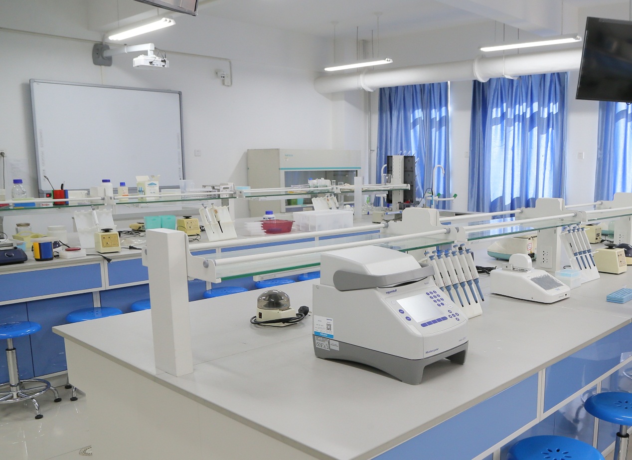 分子生物学实验室13laboratoryofmolecularbiology